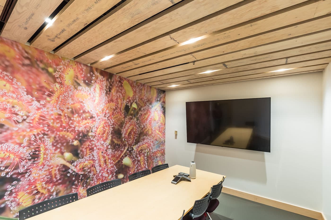ECI conference room with sea creature picture