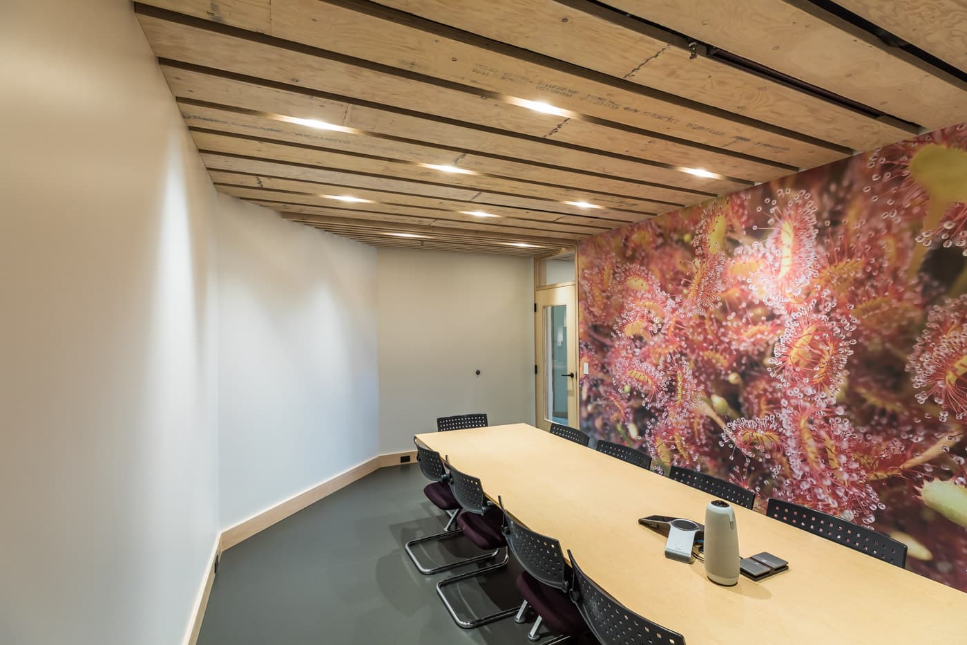 ECI conference room with sea creature picture